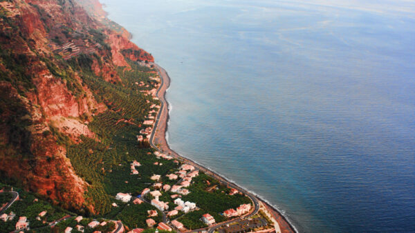 The Rock (copia)